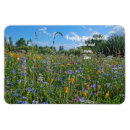 Pesquisar por fun imas Cute