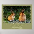 Pesquisar por lapin Animais
