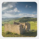 Pesquisar por ruínas adesivos Campo