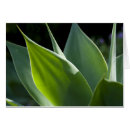 Pesquisar por vida vegetal Verde