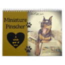 Pesquisar por miniaturas calendarios Cão