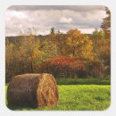 Pesquisar por feno adesivos Outono