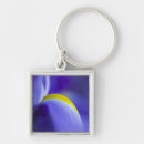 Pesquisar por flag chaveiros Azul