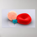 Pesquisar por vermelho sangue artes pôsteres Pilha