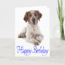 Pesquisar por spaniel de brittany Dog