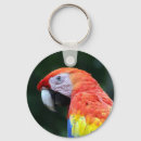 Pesquisar por araras chaveiros Animal