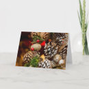 Pesquisar por cindy cartoes Assorted