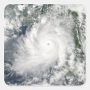 Pesquisar por move adesivos Terra