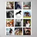 Pesquisar por cavalos pôsteres Equestre