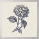 Pesquisar por hortensia pôsteres Qualquer pessoa
