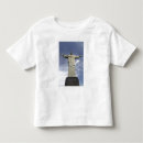 Pesquisar por rio de janeiro brasil camisetas Monumento