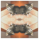 Pesquisar por cat tecidos Fofofo