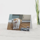 Pesquisar por gato assustador cartoes Gatinho