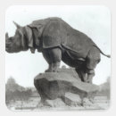 Pesquisar por rinoceronte adesivos Fotografia