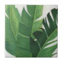Pesquisar por folha tropical azulejos Verde