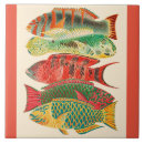 Pesquisar por peixes tropicais azulejos Oceano