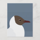 Pesquisar por pássaro marinho cartoes postais For her