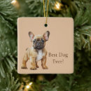 Pesquisar por frenchies ornamentos Animais