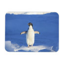 Pesquisar por pinguins engraçados imas Pinguim