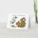 Pesquisar por rabbit cartoes postais Animals