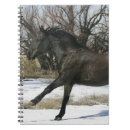 Pesquisar por mustang cadernos de notas Equestre