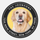 Pesquisar por arredondado adesivos Simples