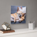 Pesquisar por chihuahua relogios de parede Animal