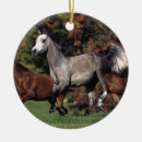 Pesquisar por cavalo árabe ornamentos Funcionamento
