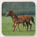 Pesquisar por égua e potro porta copos Puro sangue