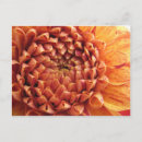 Pesquisar por dali cartoes postais Flor