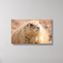 Pesquisar por pradarias impressão de canvas Animal