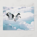 Pesquisar por pinguins bonitos cartoes postais Comprimento do cheio