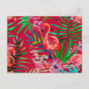 Pesquisar por palma tropical cartoes postais Flamingo rosa