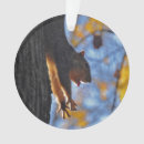 Pesquisar por esquilo ornamentos Bonito