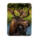 Pesquisar por mangueira imas Vertical