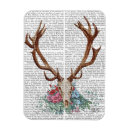 Pesquisar por caveira imas Galo