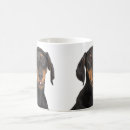 Pesquisar por pincher Doberman