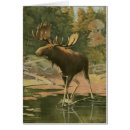 Pesquisar por veado selvagem cartoes postais Água
