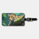 Pesquisar por chita bagagem tags Exótico