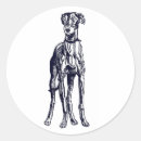 Pesquisar por whippet adesivos Galgo