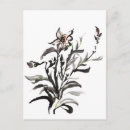 Pesquisar por flor chinesa cartoes postais Porcelana