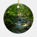 Pesquisar por raiva ornamentos Natureza