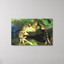 Pesquisar por touro impressão de canvas Natureza