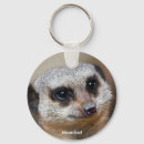 Pesquisar por com lagarto chaveiros Fofo