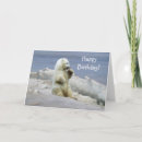 Pesquisar por urso polar bonito cartoes Ursos polares