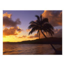 Pesquisar por poster de kauai havaí pôsteres Paraíso