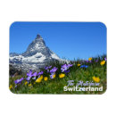 Pesquisar por ímã da suiça imas Viagem