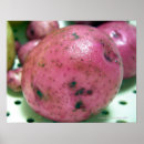 Pesquisar por potato pôsteres Food