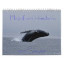 Pesquisar por humpbacks Animais selvagens
