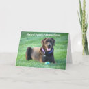 Pesquisar por chocolate labrador cartoes Retriever